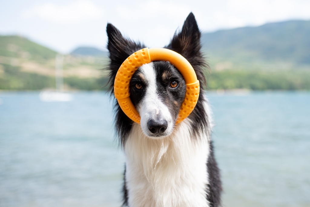 Kiwi Walker Ring Orange