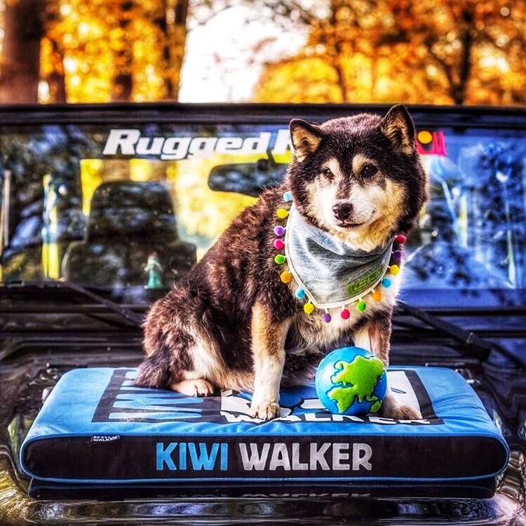 Kiwi Walker Pet Bed Blue/Black