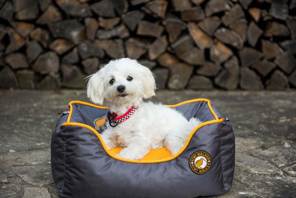 Kiwi Walker Running Border Bed Orange/Grey