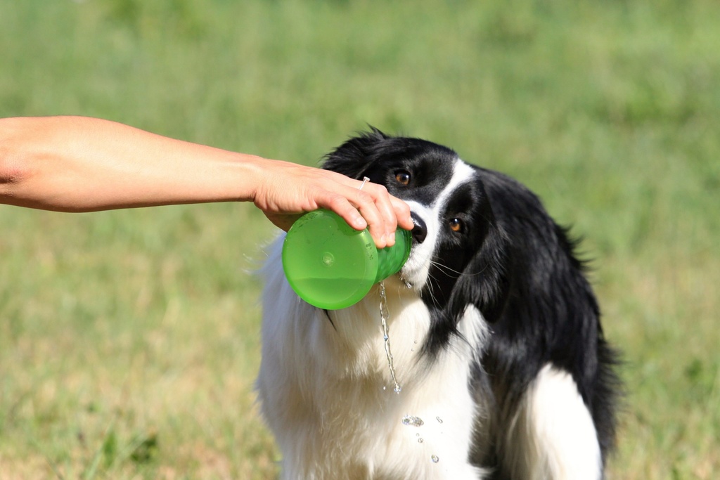 Kiwi Walker Travel Bottel 2in1 Orange/Green