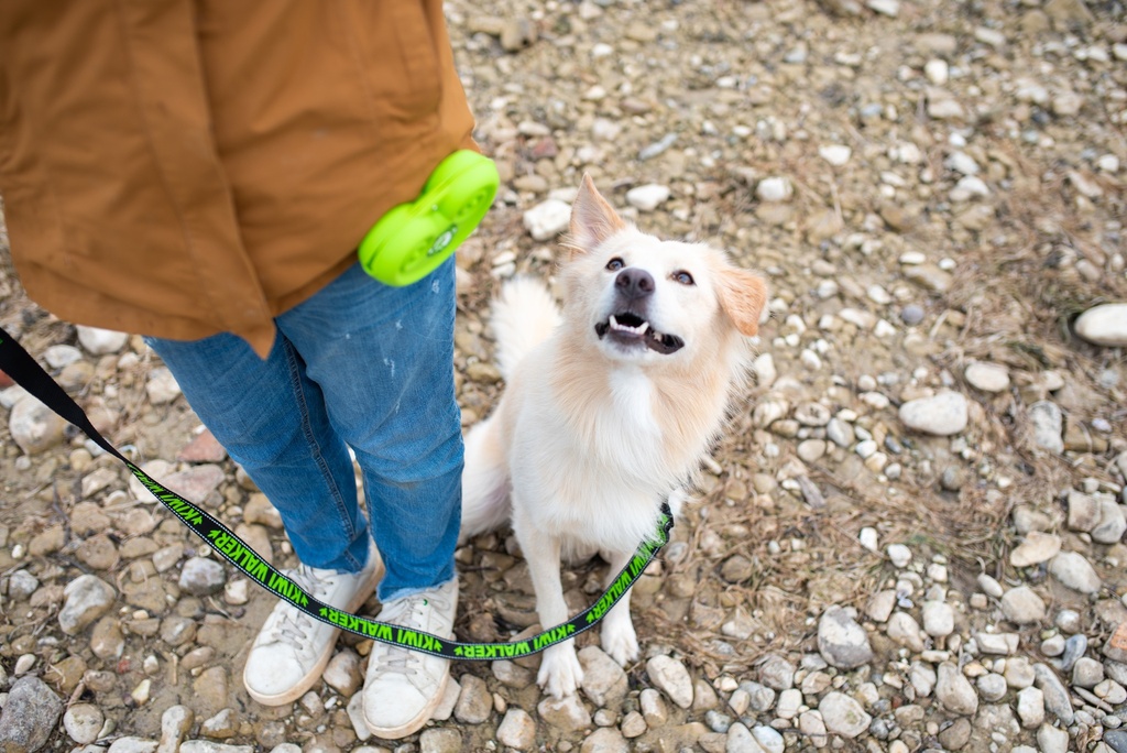 Kiwi Walker Rewards pocket Green