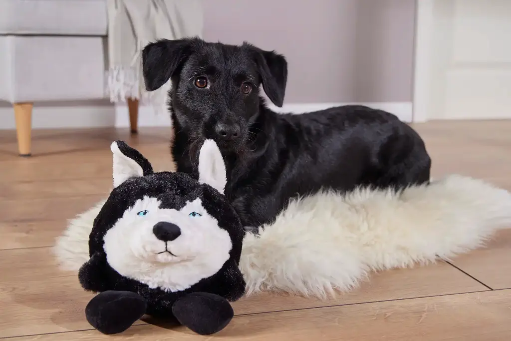 Wolters Plüschball Henry Husky