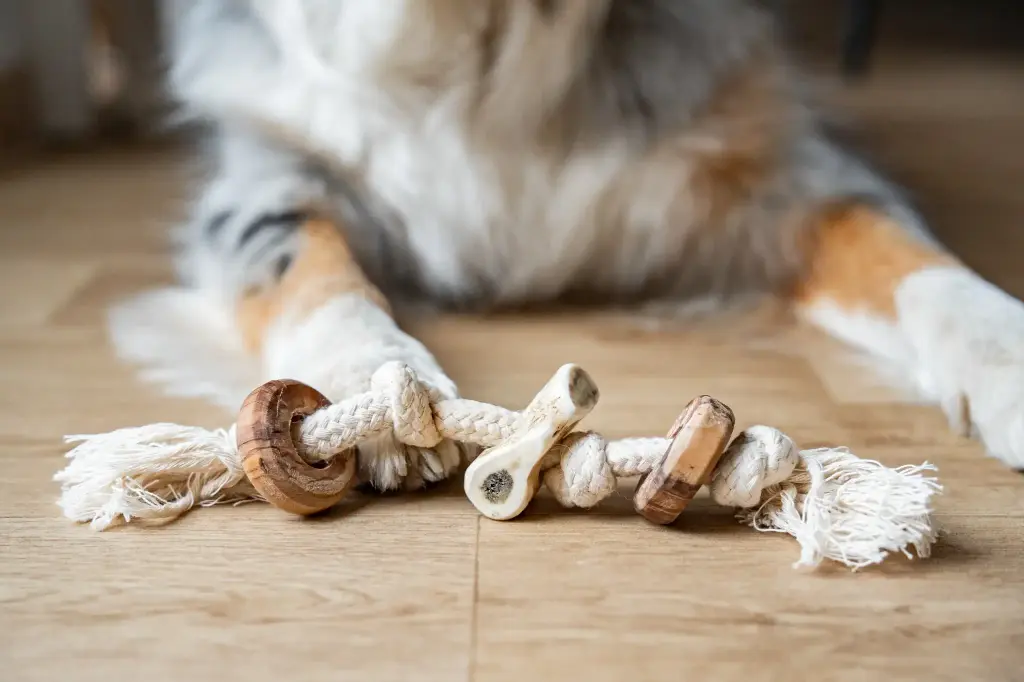 Wolters Olivi Geweih-tau-Spielzeug Ringe