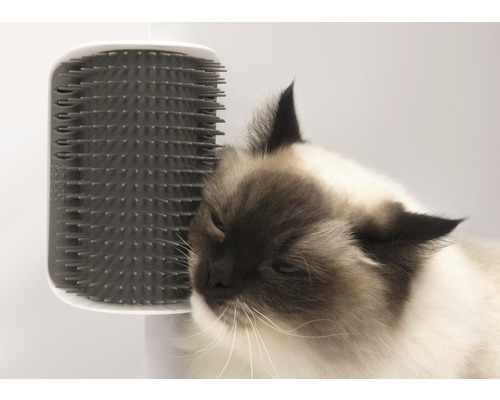 Catit Massage Ecke