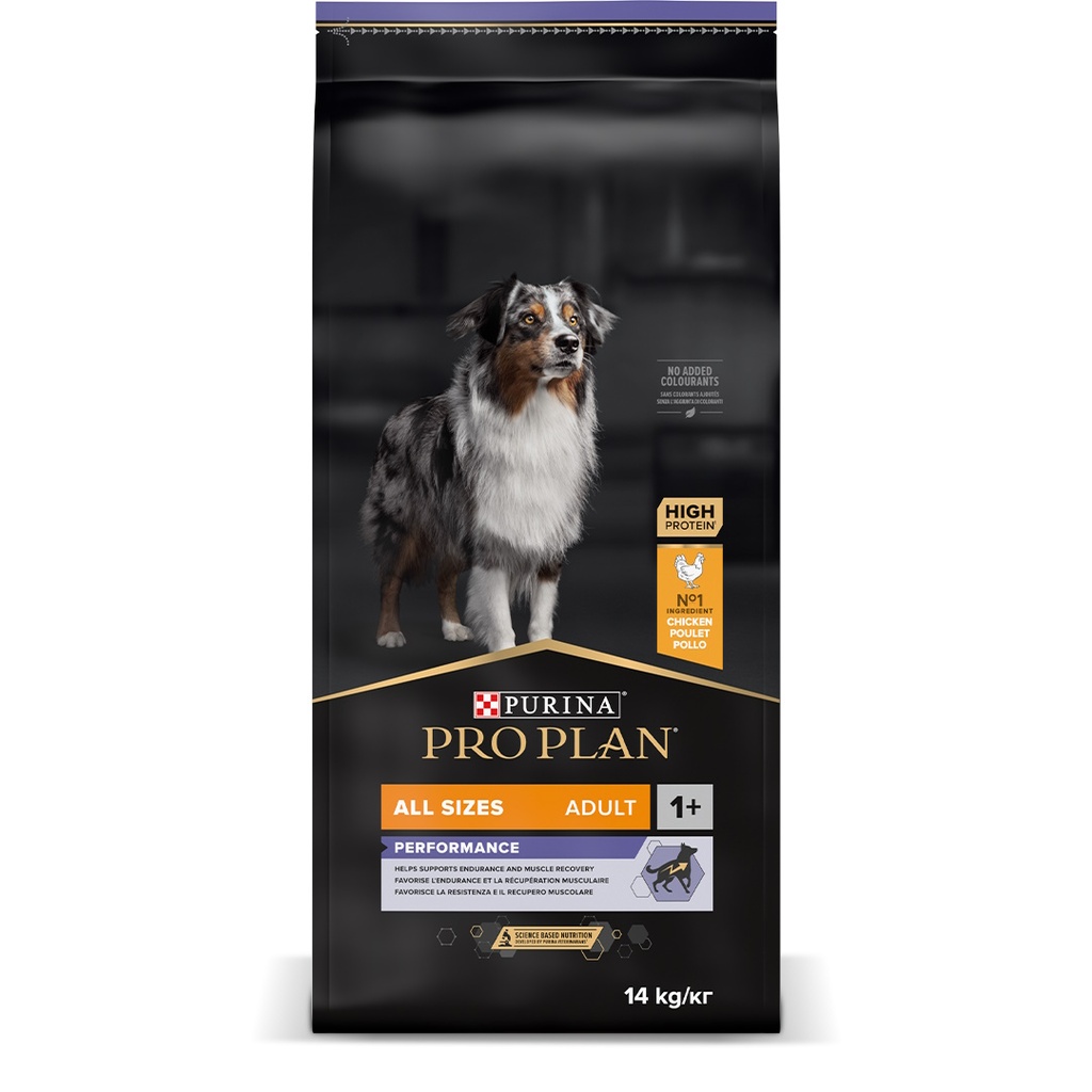 Pro Plan Dog All Size Adult Performance