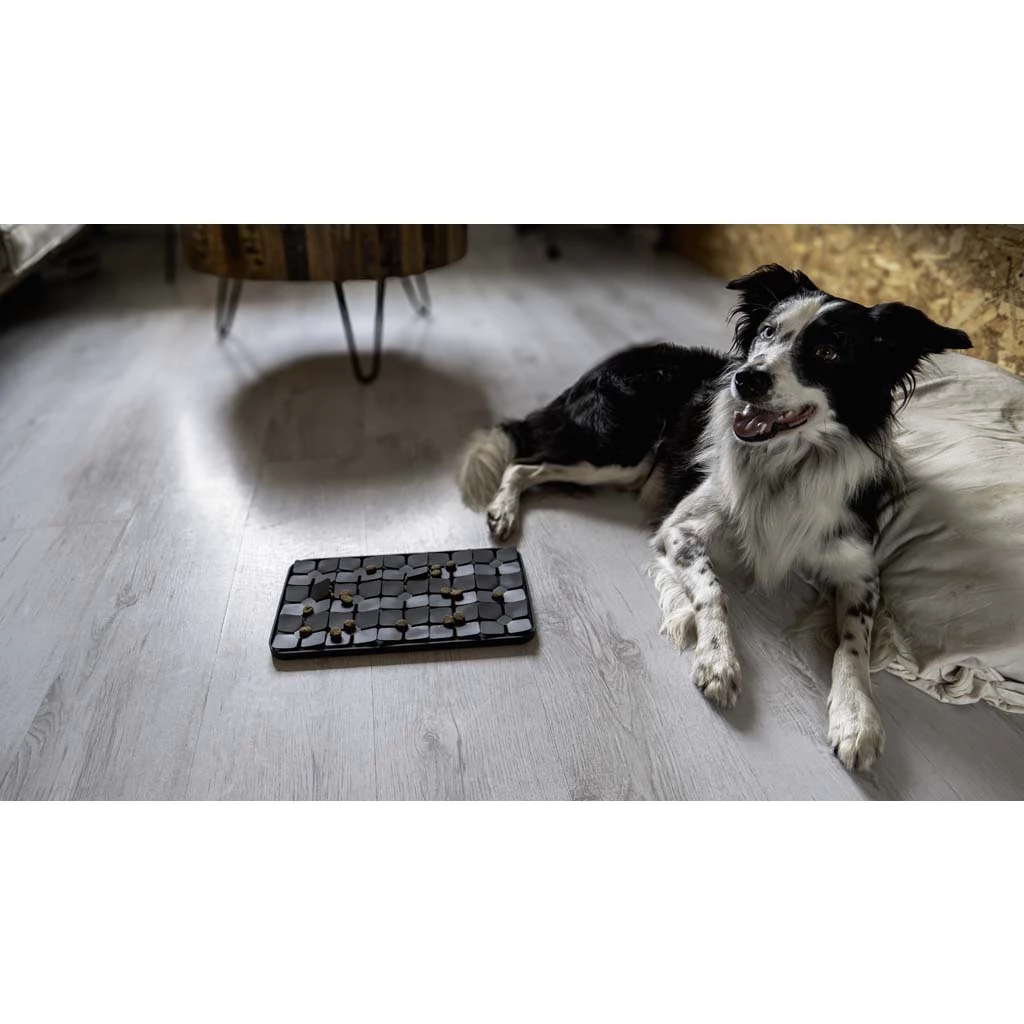 Eat Slow Live Longer Lick Mat Dimensions Flower