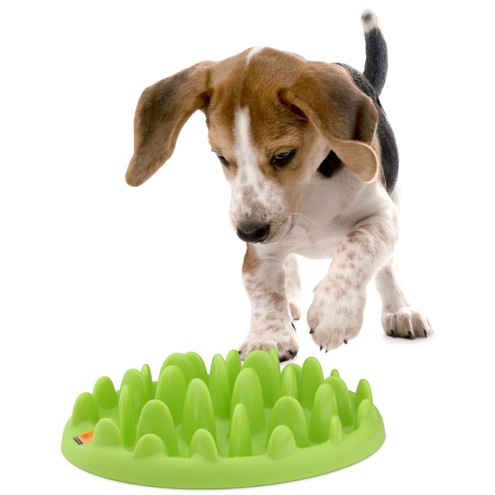Northmate Interactive Feeder Hundenapf Green Mini