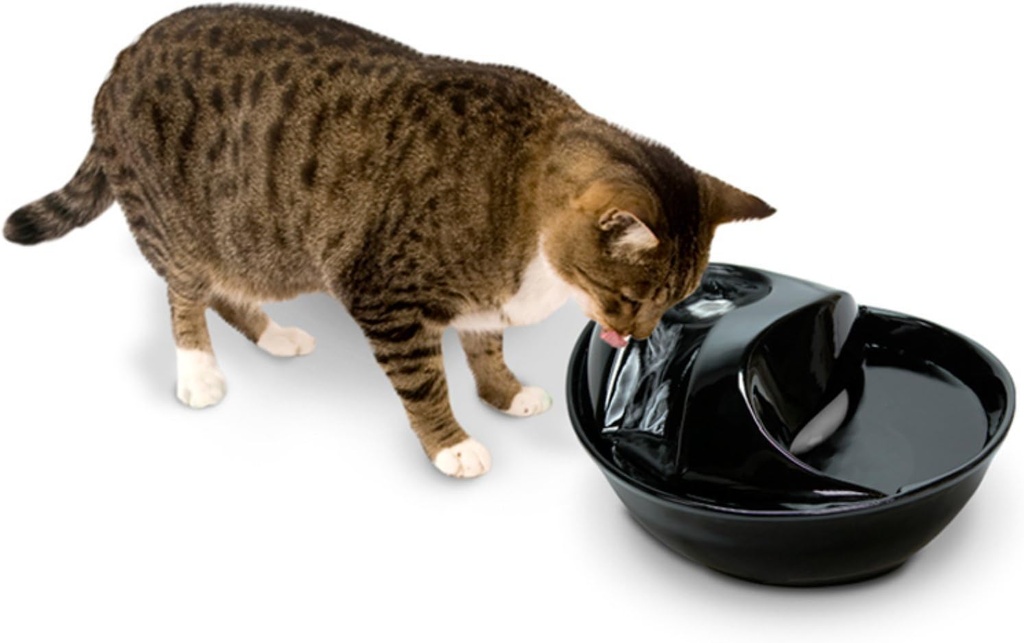 Pioneer Pet Trinkbrunnen Raindrop Style Keramik