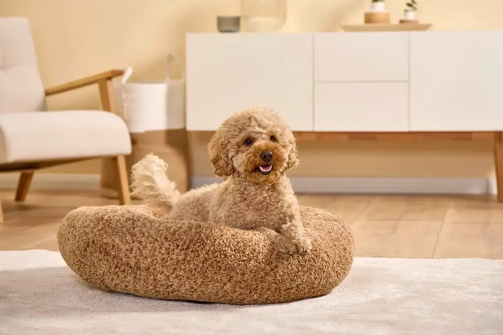 Wolters Sweet Dreams Hundekörbchen Pistachio