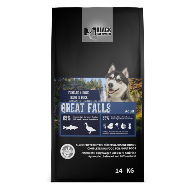 Black Canyon Greats Falls Forelle & Ente