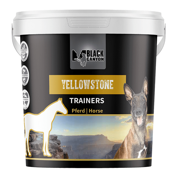 Black Canyon Trainers Yellow Stone Pferd