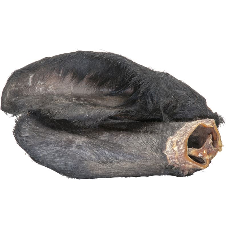 Ecostar Rinderohren mit Fell