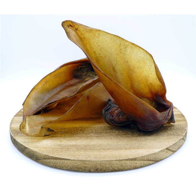 Ecostar Rinderohren mit Muschel