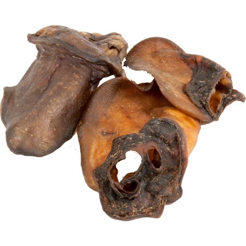 Ecostar Wildschweinohren enthaart