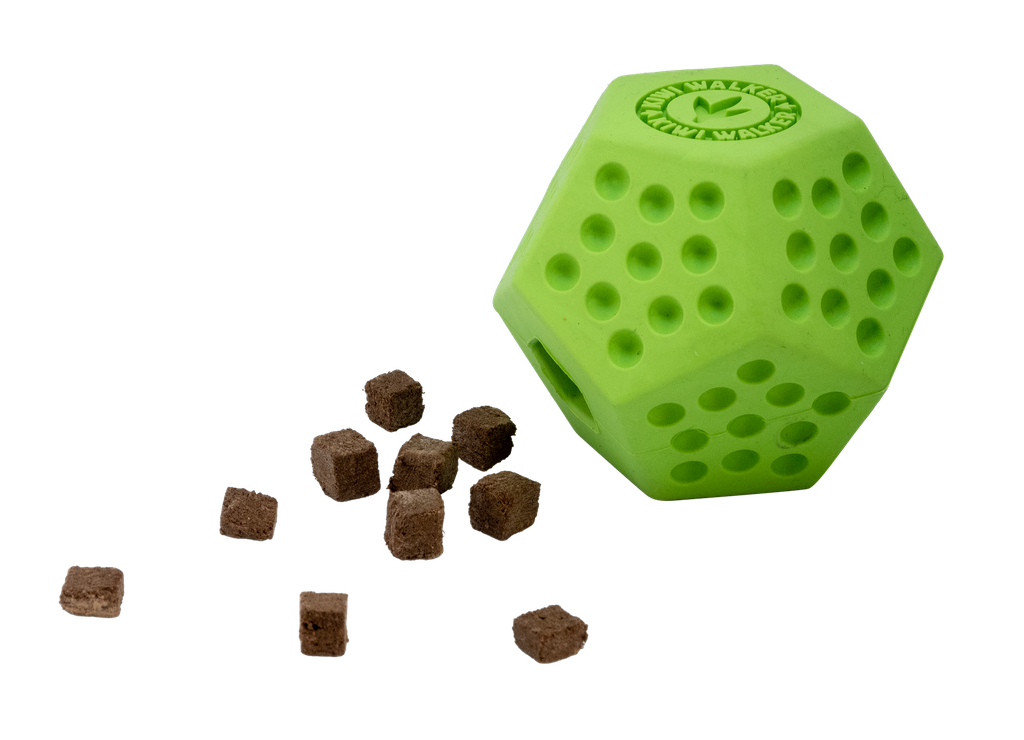 Kiwi Dodecaball Mini