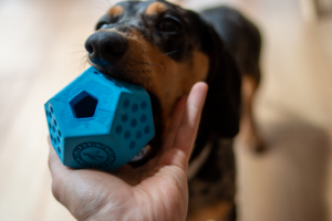 Kiwi Walker Dodecaball