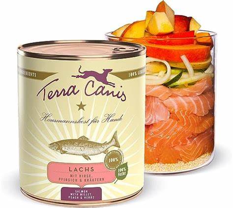 Terra Canis Classic Adult Lachs, Hirse, Pfirsich & Kräuter