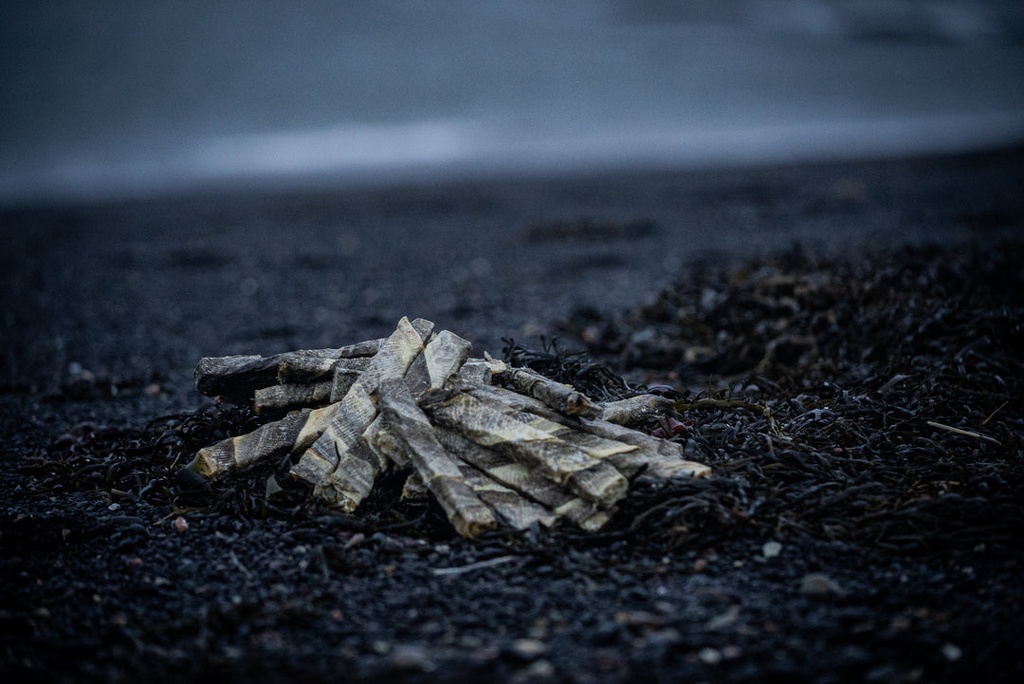 Loppa Long Cod Chew Stick