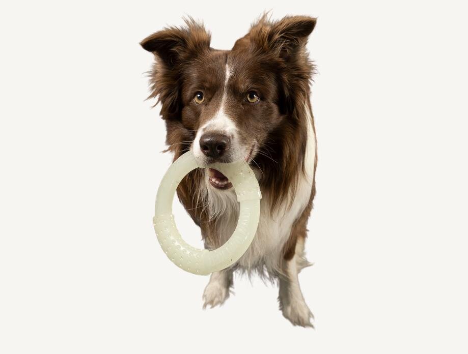 Kiwi Walker Glow Ring