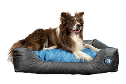 Kiwi Walker Running Bed Border Blue/Grey