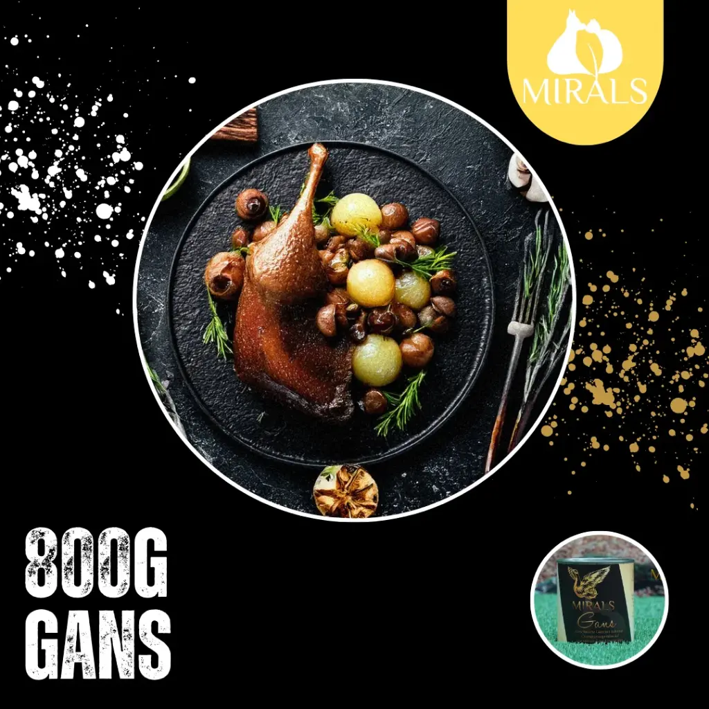 MIRALS Geschmorte Gans mit Kohlrabi-Chamignongemüse auf Stachelbeer-Sauerkirschspiegel