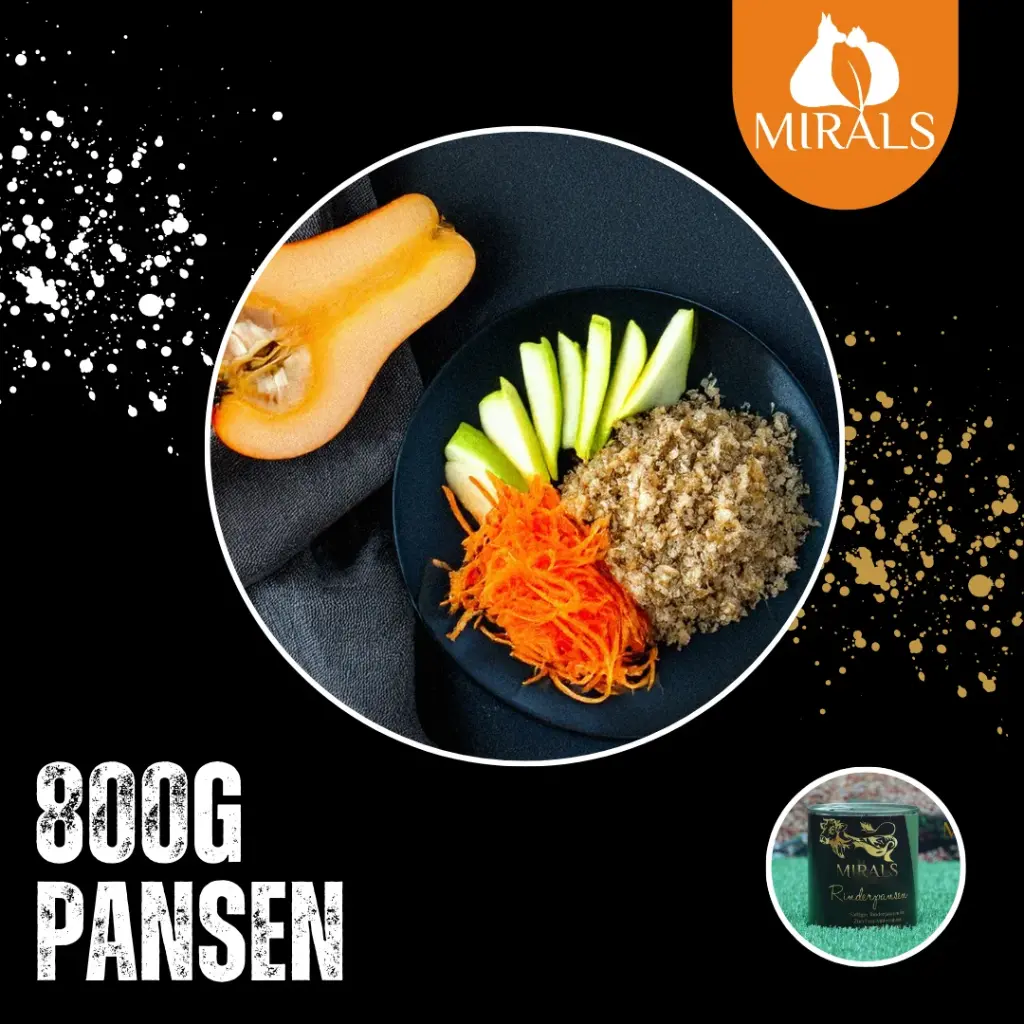 MIRALS Saftiger Rinderpansen im Zucchini-Möhrenbeet an Apfel-Birnen Salat