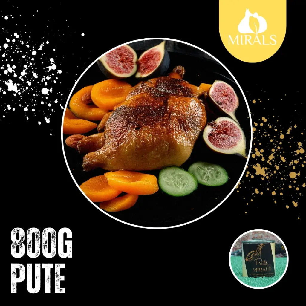 MIRALS Leichte Putenwürfel an Gurken-Feldsalat mit Feigen-Aprikosen Pürée