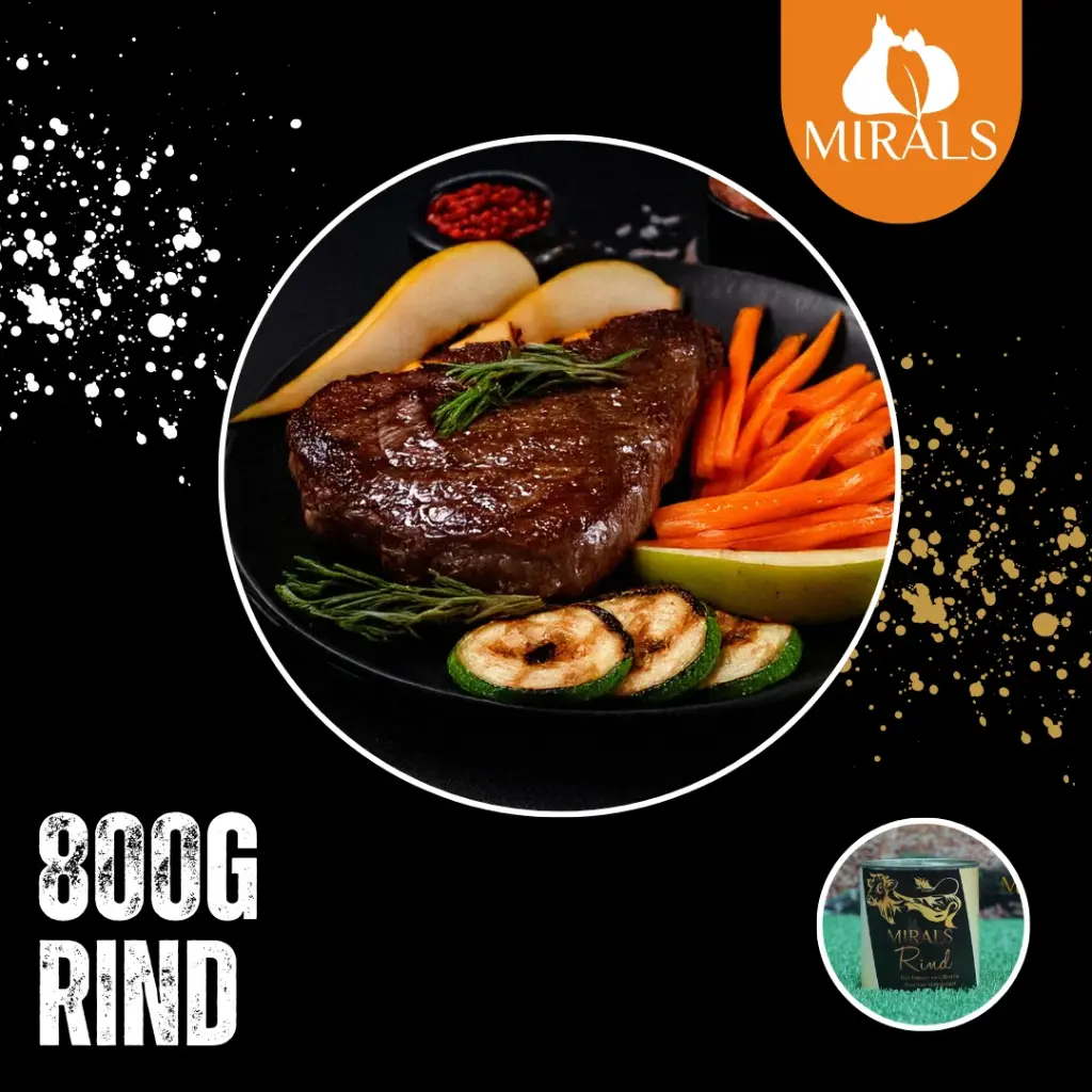 MIRALS Das Feinste vom Rind im Zucchini-Möhrenbeet an Apfel-Birnen Salat