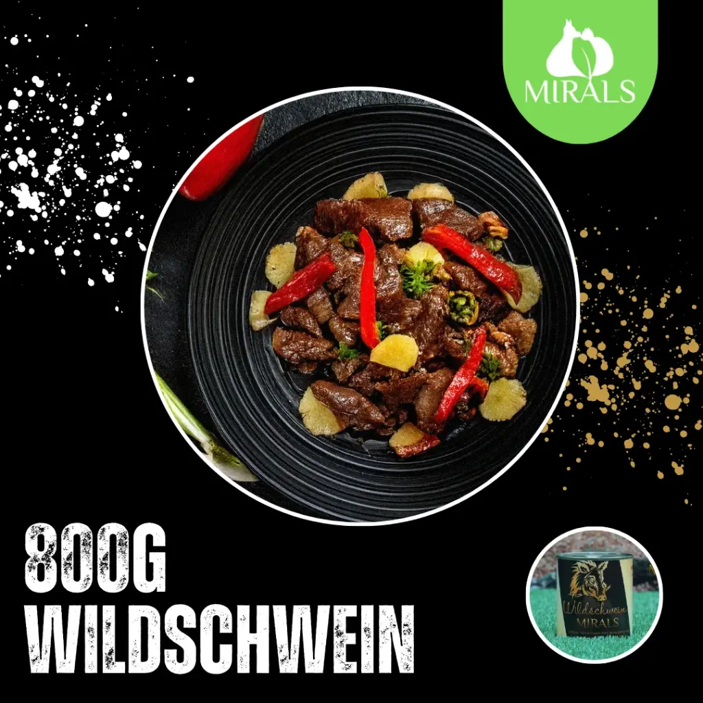 MIRALS Saftiges Wildschwein mit Champignons und Chicorée an Paprika-Ananas-Salat