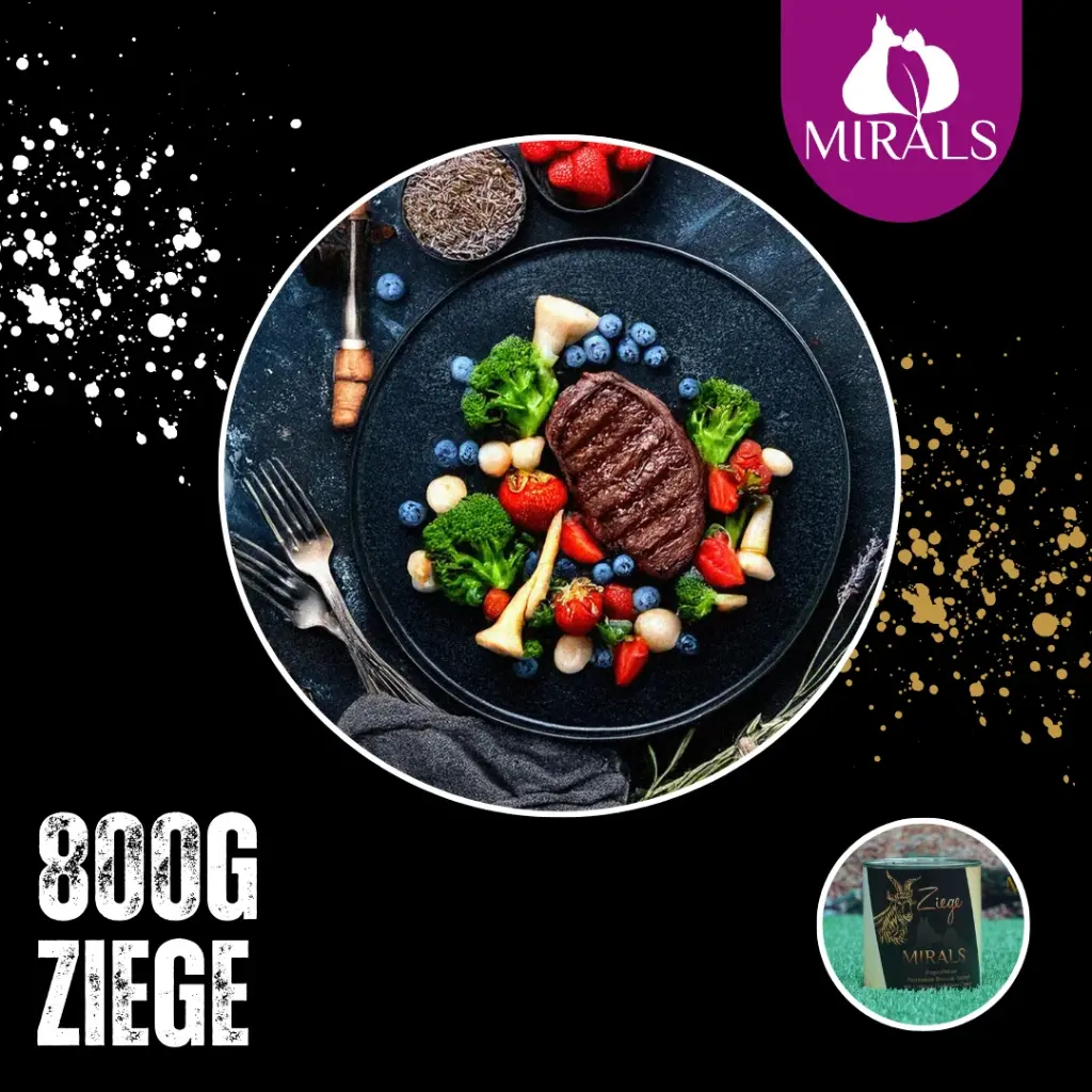 MIRALS Ziegenfilet an Pastinaken-Broccoli-Stampf mit Erdbeer-Heidelbeer-Creme