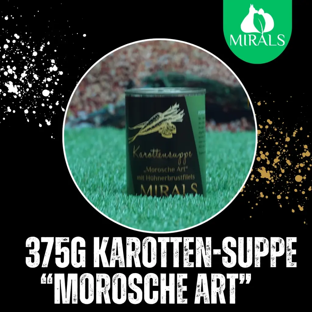 MIRALS Karottensuppe "Morosche Art"