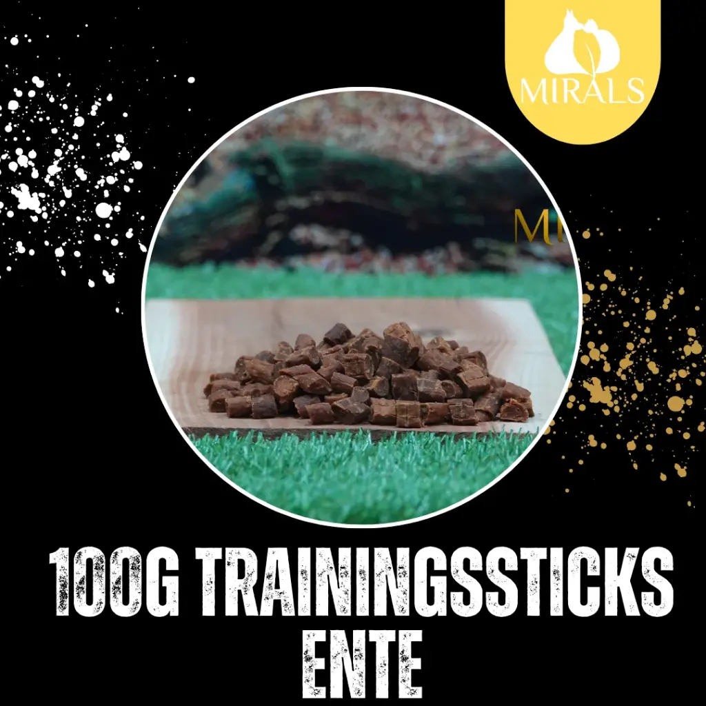 MIRALS Trainingssticks Ente