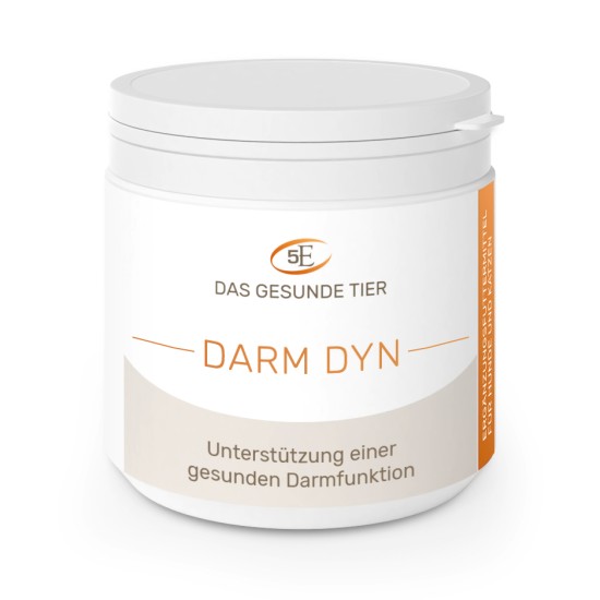 5 Elemente Darm-dyn
