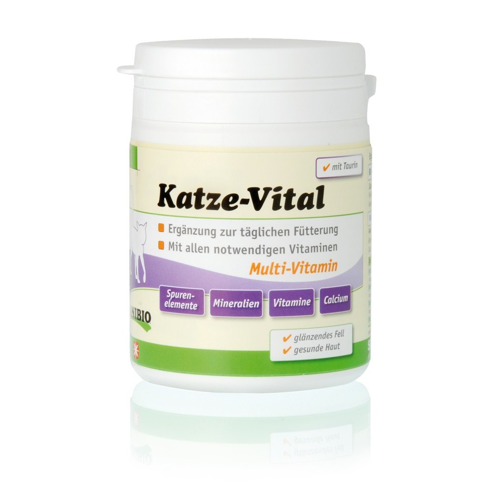 Anibio Katze-Vital