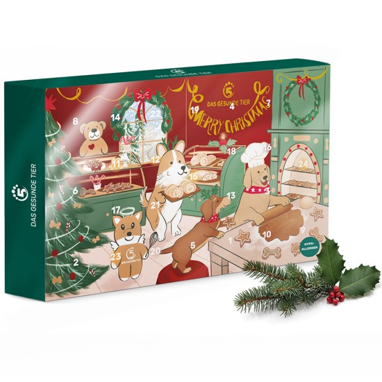 5 Elemente Adventskalender Hypo