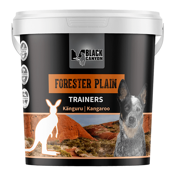 Black Canyon Trainers Forester Plain Känguru