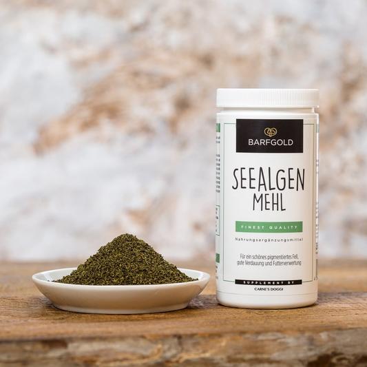 Barfgold Nahrungsergänzungsmittel Seealgenmehl