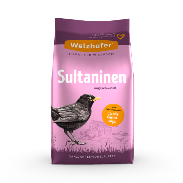 Welzhofer Ungeschwefelte Sultaninen 