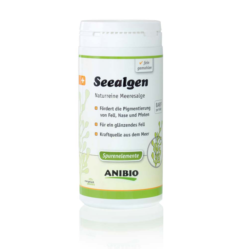 Anibio Seealge
