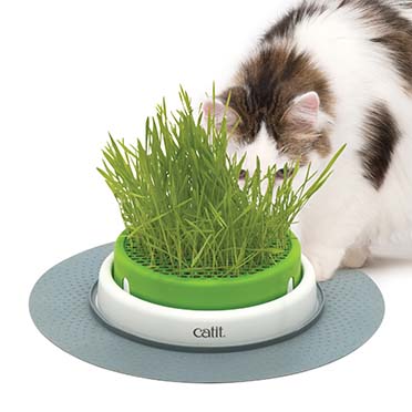 Catit Grassamen-Kit