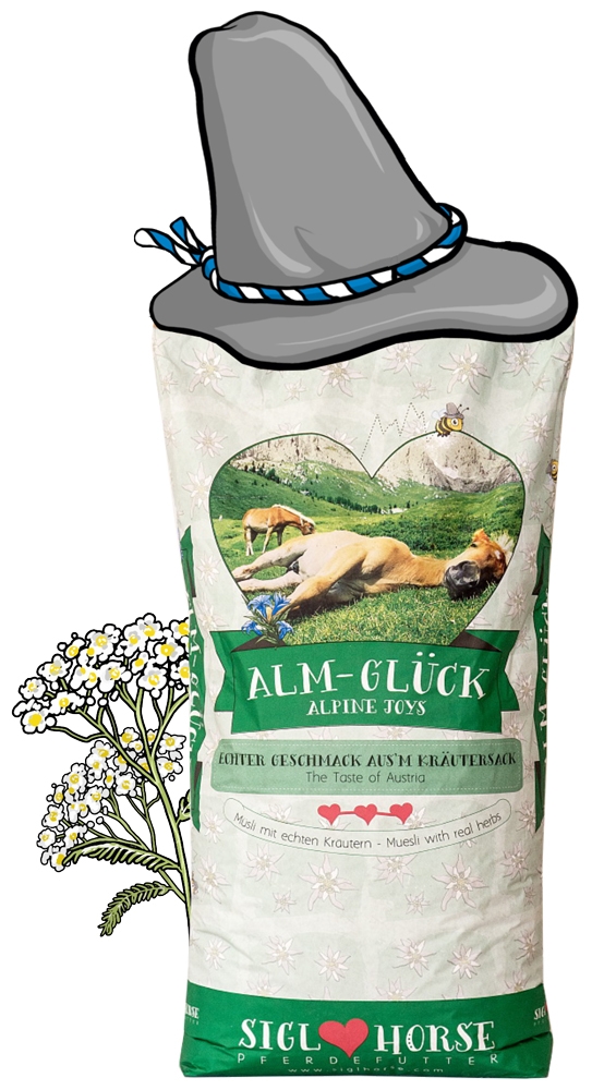 Siglhorse Alm-Glück