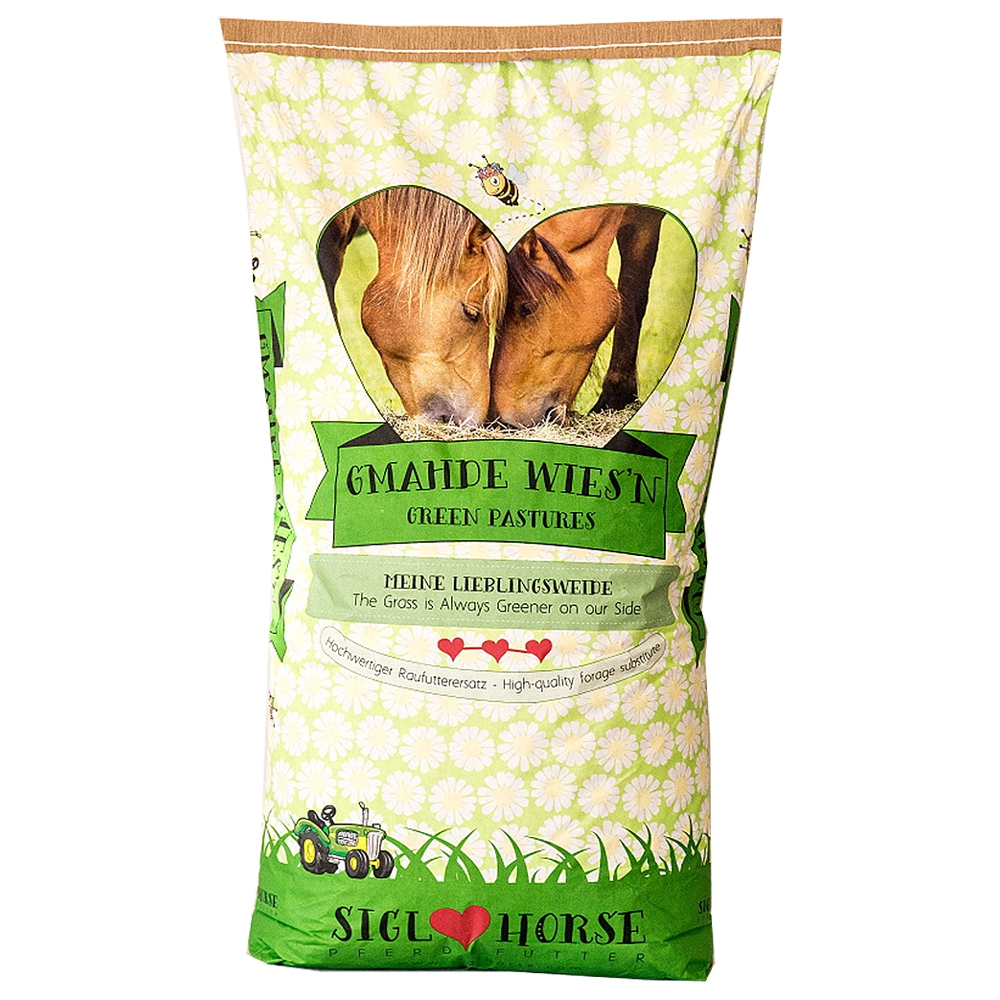 Siglhorse Gmahde Wies'n