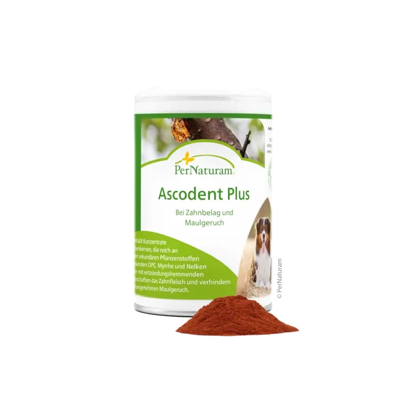 PerNaturam Dog Ascodent Plus