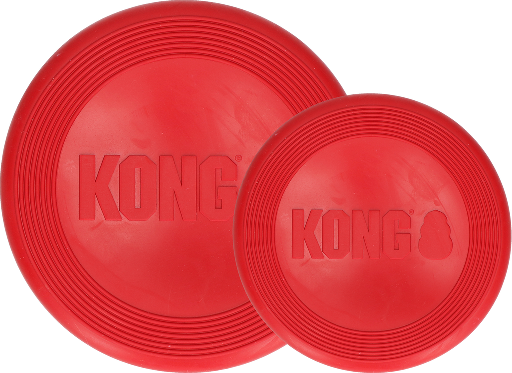 Kong Flyer 