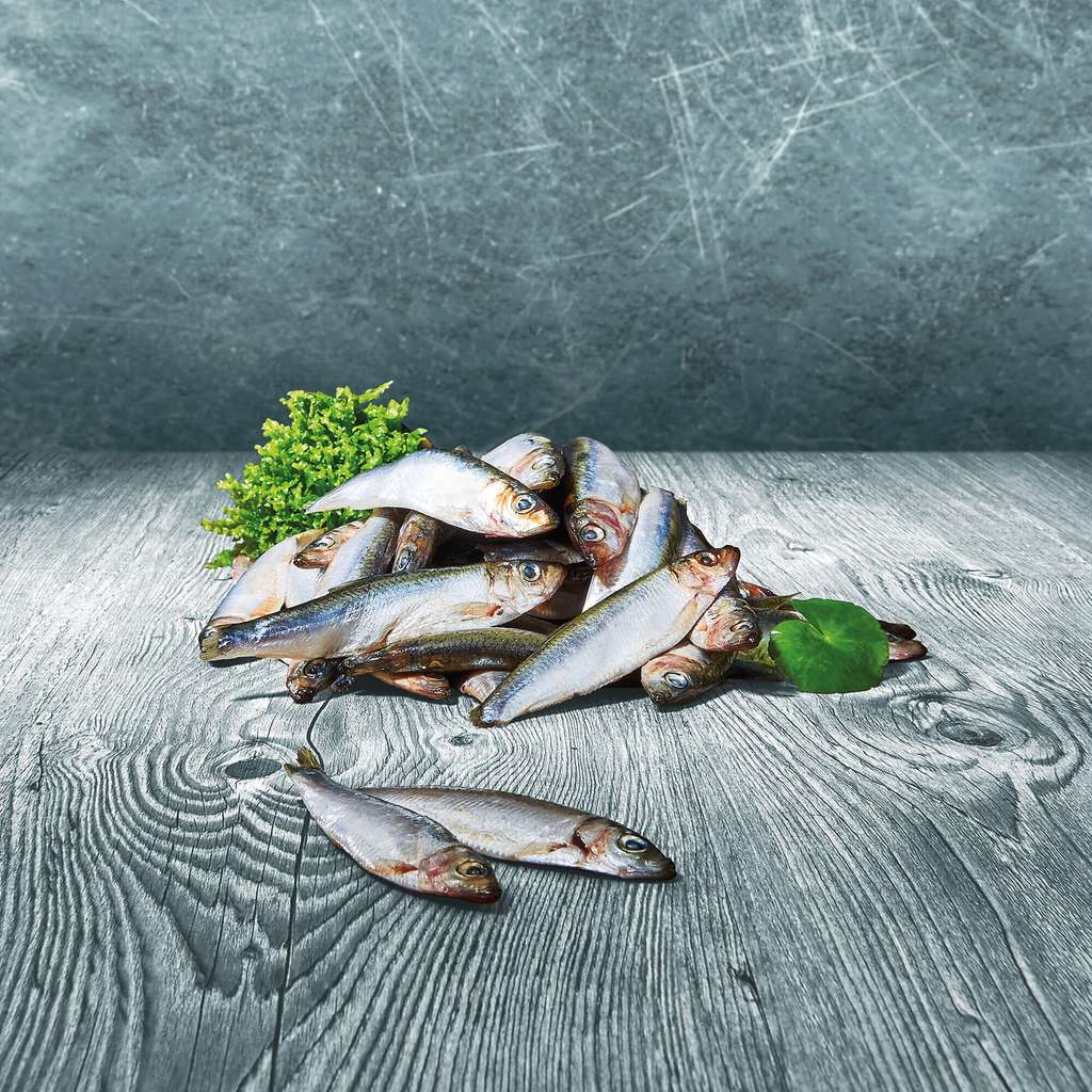 Barfer's Wellfood Choice Sprotten im Ganzen