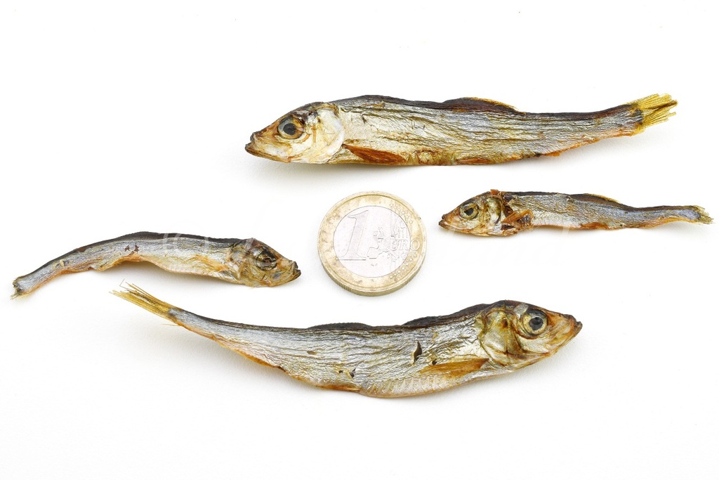 Lunderland Trockenfisch Lodde 500g