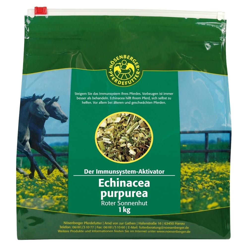 Nösenberger Kräuter & Co. Echinacea purpurea