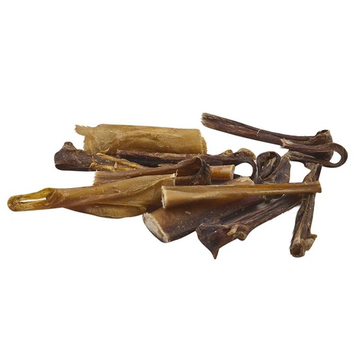 Ecostar Ochsenziemerenden