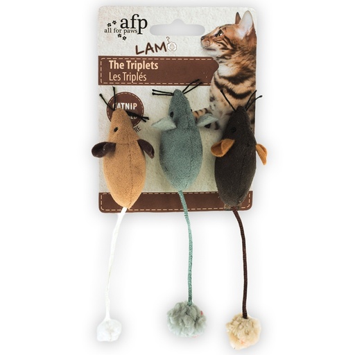 Afp Lam The Triplets