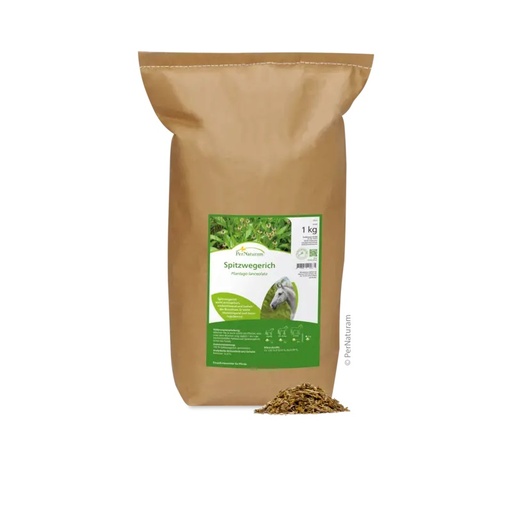 PerNaturam Horse Spitzwegerich